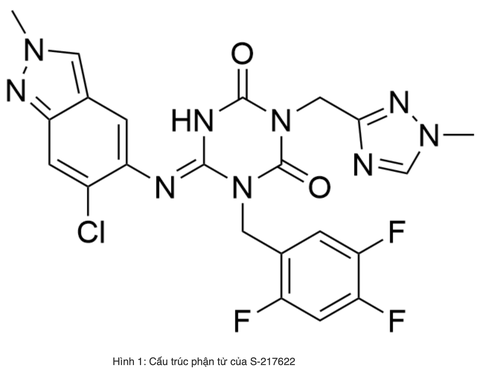 S-217622: Triển vọng trong việc phòng ngừa nhiễm SARS-CoV-2 có triệu chứng ở đối tượng F1