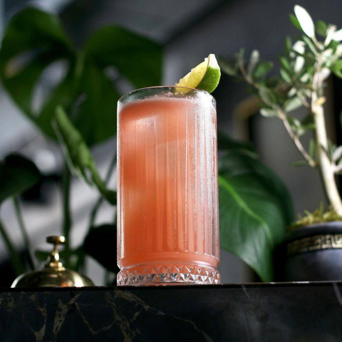 Ly thủy tinh Pasabahce Elysia long drink 435ml