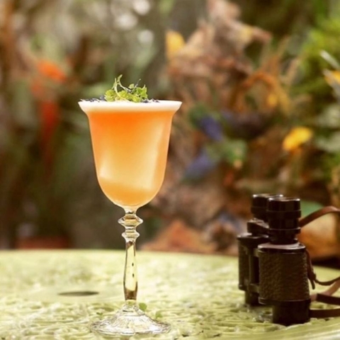 Ly thủy tinh Onis 1924 Wine/Cocktail 264ml