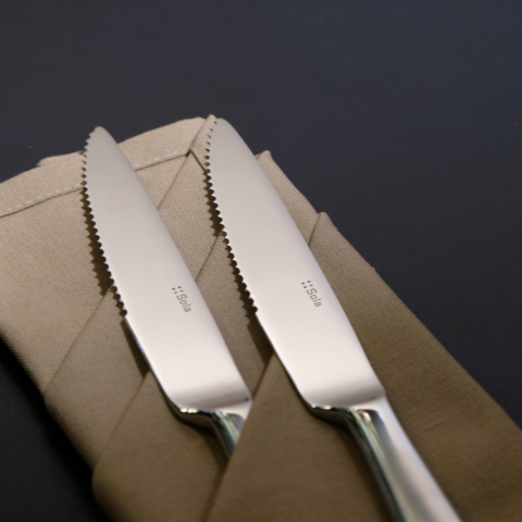 Dao Sola Switzerland Gaya all satin Steak Knife