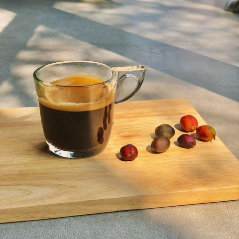 Ly thủy tinh Borgonovo Alpi Coffee Cup 80ml
