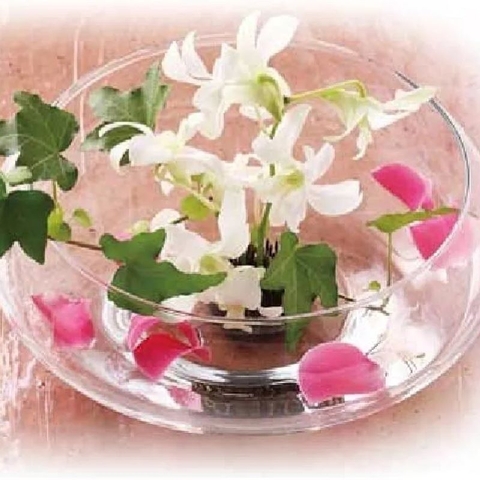 Bình hoa thủy tinh Libbey Dish Garden10
