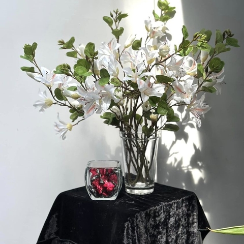 Bình hoa thủy tinh Libbey Tobago  Vase 18 cm