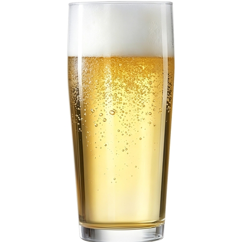 Ly thủy tinh Libbey Willi beer glasses 330ml