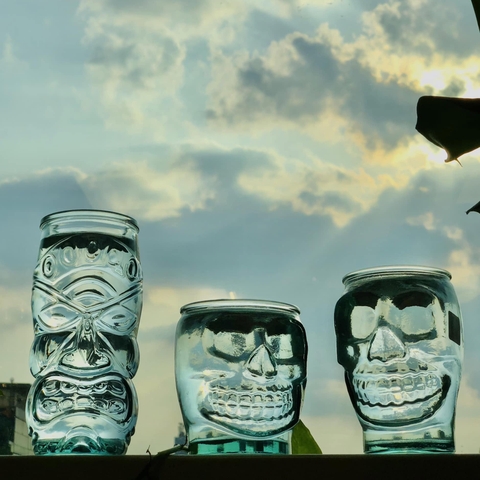 V2347 - VSM VASO CALAVERA 400 CC -  400ml - 6 cái/ thùng