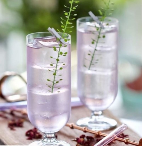 Ly thủy tinh Libbey Levitas Flute 198ml