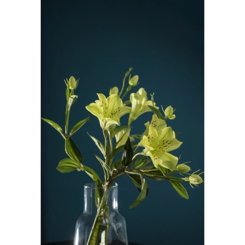 Hoa giả bằng vải - Lys nhỏ màu xanh
