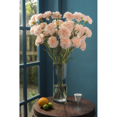 Hoa vải - Artificial flowers - Cẩm chướng màu hồng đào