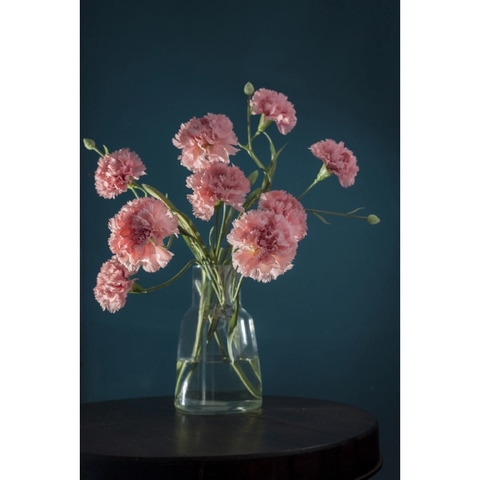 Hoa vải - Artificial flowers - Cẩm chướng màu hồng đất