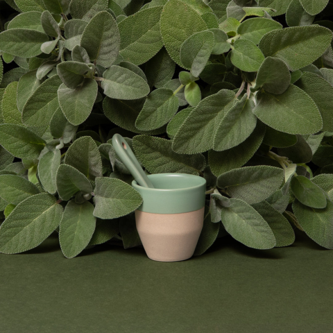 Bộ đĩa và ly gốm notNeutral Sage green Pico espresso 90ml