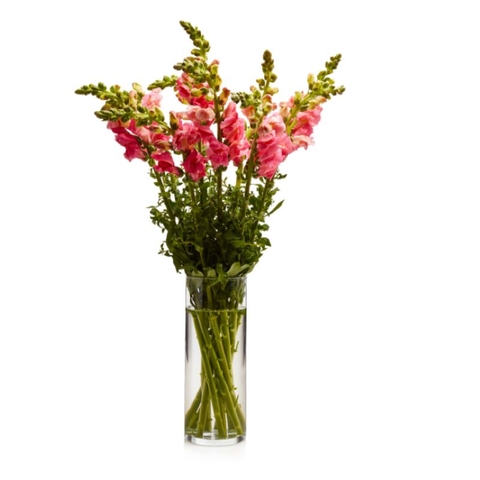 Bình hoa thủy tinh Libbey Floral Cylinder 9
