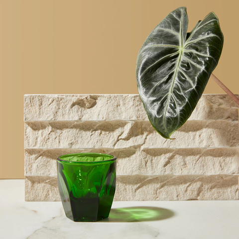 Ly thủy tinh notNeutral VERO Cortado Glass - Emerald Green