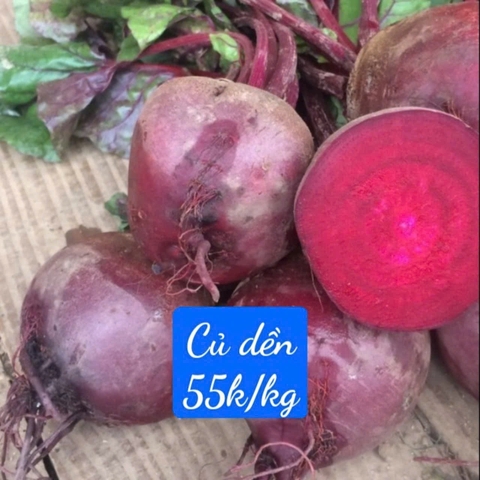 Củ dền hữu cơ