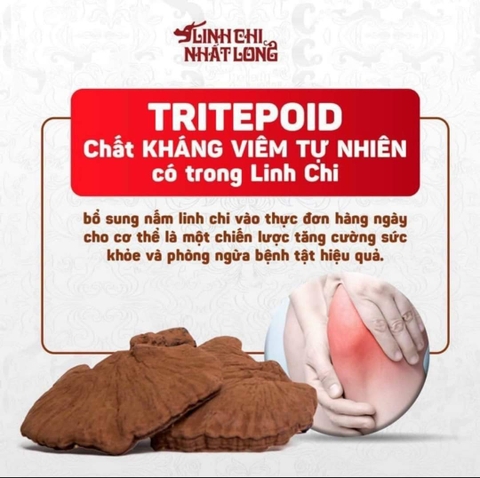 Linh chi Nhất Long