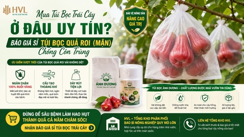 Mua Túi Bọc Trái Cây Ở Đâu? Báo Giá Sỉ Túi Bọc Quả Roi (Mận)