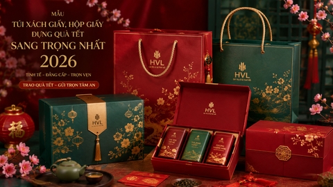 Mẫu Túi Xách Giấy, Hộp Giấy Đựng Quà Tết Sang Trọng Nhất 2026