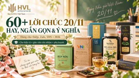 60+ Lời Chúc 20/11/2026 Hay, Ngắn Gọn & Ý Nghĩa Cho Thầy Cô