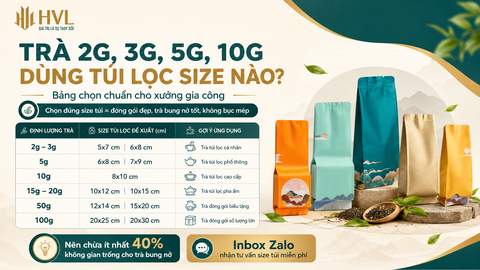 Trà 2g, 3g, 5g, 10g Dùng Túi Lọc Size Nào? Bảng Chọn Theo Định Lượng