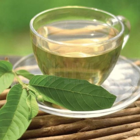 Túi lọc trà lá ổi - Món quà sức khỏe cho người thân