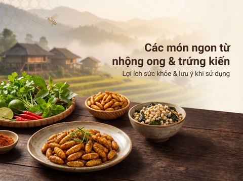 Các Món Ngon Từ Nhộng Ong Và Trứng Kiến: Lợi Ích & Cảnh Báo An Toàn