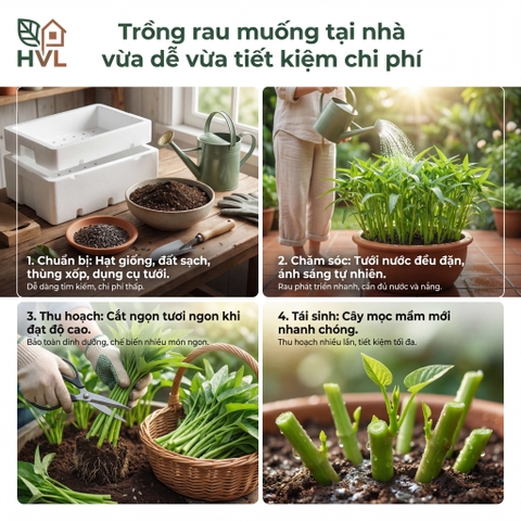 Cách Trồng Rau Muống Tại Nhà: Sạch - Rẻ - Hiệu Quả 2026