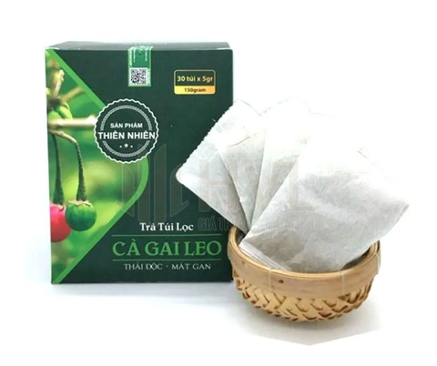 Trà túi lọc cà gai leo có tác dụng gì?