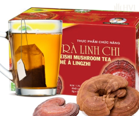 Công Dụng Và Cách Sử Dụng Trà Túi Lọc Linh Chi