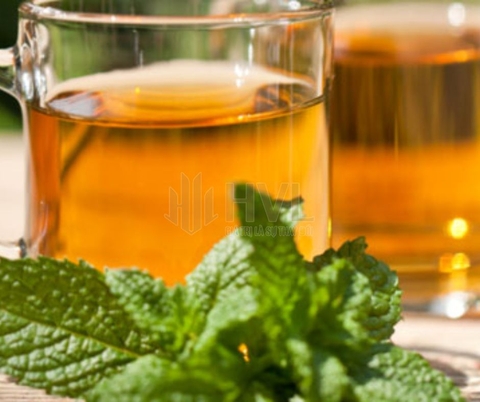 Trà Túi Lọc Bạc Hà: Thức Uống Thư Giãn Giúp Giảm Stress Hiệu Quả