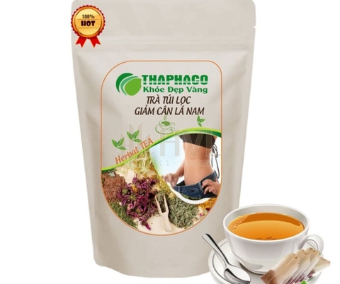 Trà Túi Lọc Giảm Cân Lá Nam: Thực Hư Hiệu Quả & Cách Dùng Đúng Khoa Học