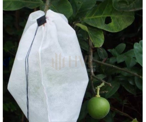 Mua Túi Bọc Trái Cây Đà Nẵng Ở Đâu Chất Lượng, Giá Tốt?