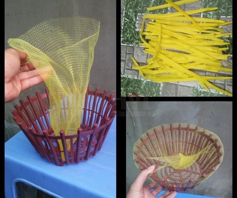 Cách Dùng Túi Lưới Bọc Chậu Lan Để Giúp Cây Luôn Xanh Tốt