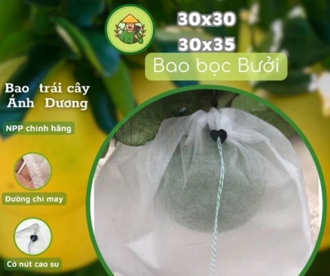 Bao Trái Cây Ánh Dương Có Tốt Không? Đánh Giá Chi Tiết Từ Nhà Vườn