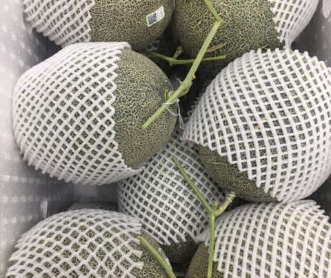 Túi Bọc Trái Cây An Toàn – Giải Pháp Thay Thế Túi Xốp Hiệu Quả