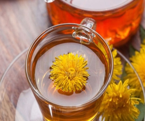 Top 5 Công Dụng Thần Kỳ Của Trà Túi Lọc Bồ Công Anh.