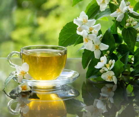 Cách Pha Trà Túi Lọc Hoa Nhài Ngon Chuẩn Vị Tại Nhà