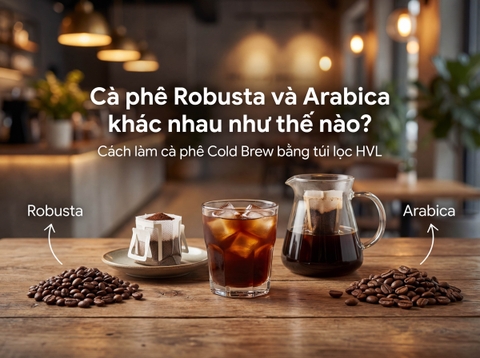 So Sánh Cà Phê Robusta Và Arabica - Cách Làm Cold Brew Bằng Túi Lọc HVL