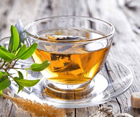 Hướng Dẫn Cách Pha Trà Túi Lọc Phúc Long Đúng Chuẩn Như Tại Quán