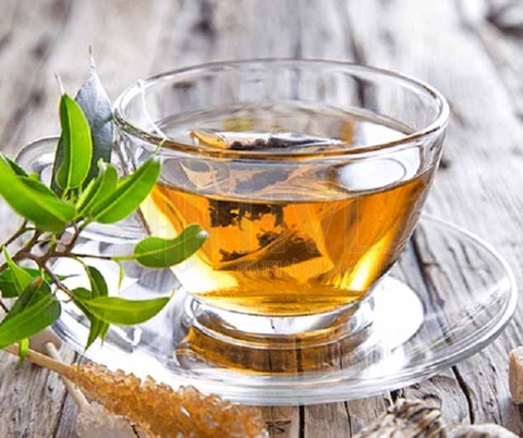 Trà túi lọc atiso có công dụng gì?