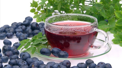 Uống Trà Túi Lọc Việt Quất Có Lợi Ích Gì? Những Điều Bạn Cần Biết