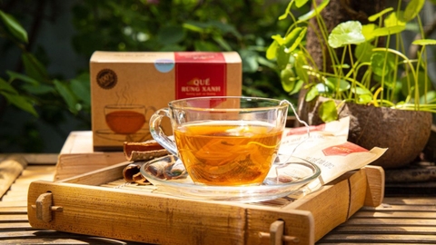Tại Sao Nên Chọn Trà Quế Túi Lọc Thay Vì Trà Truyền Thống?