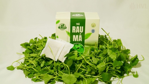 Lợi ích sức khỏe của trà túi lọc rau má.