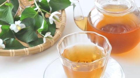 Tại Sao Nên Uống Trà Túi Lọc Rau Diếp Cá Mỗi Ngày?