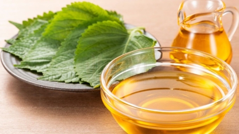 Trà Túi Lọc Tốt Cho Sức Khoẻ: Đâu Là Loại Phù Hợp Với Bạn?