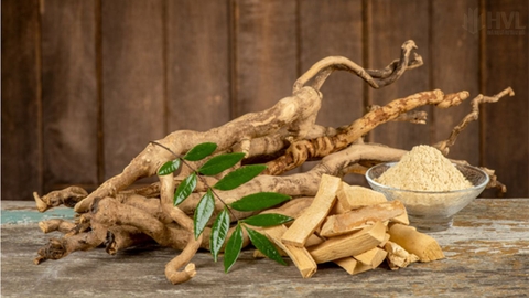 Trà Túi Lọc Mật Nhân Và Những Lưu Ý Quan Trọng Khi Sử Dụng