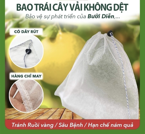 Túi bọc trái bưởi Diễn - Chống sâu bệnh, nám quả, ruồi vàng