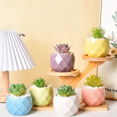 Chậu Mini Trồng Cây Super Farmer – Chậu Sứ Kim Cương Decor Sen Đá Cao Cấp