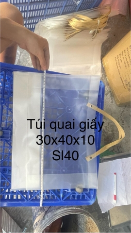 Túi nhựa PVC trong suốt quai giấy
