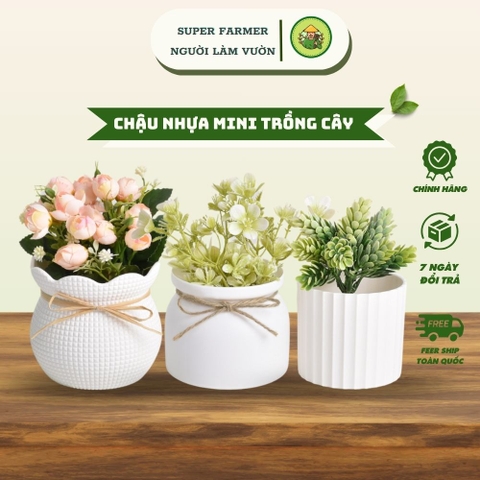 Chậu Hoa Nhựa Giả Gốm Mini – Bình Hoa Decor Siêu Bền Không Lo Rơi Vỡ