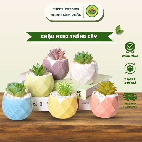 Chậu Mini Trồng Cây Super Farmer – Chậu Sứ Kim Cương Decor Sen Đá Cao Cấp