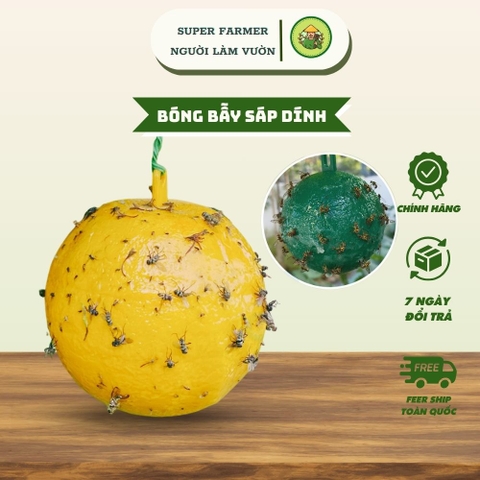 Bóng Bẫy Côn Trùng Vàng - Bẫy Dính Siêu Dính, Chống Ruồi Vàng & Sâu Bệnh